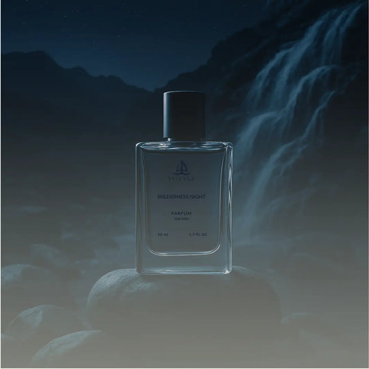 WILDERNESS NIGHT Voyage World